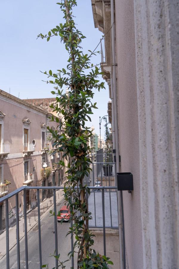 Zagara E Lumia Bed & Breakfast Catania Exterior photo